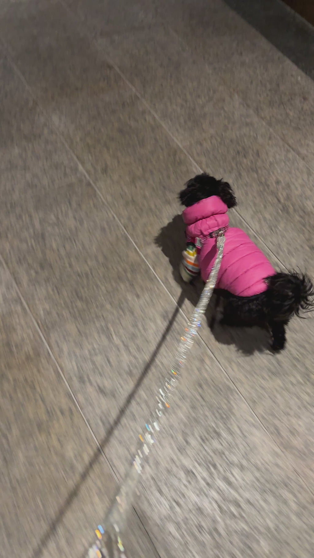 The Ariibe Crystal Statement Leash